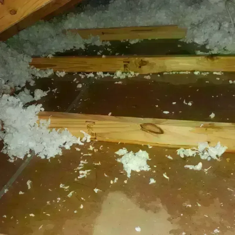 Attic Water Damage in Aumsville, OR