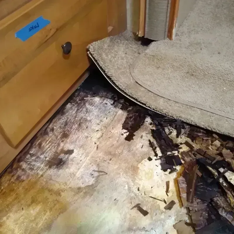 Best Wood Floor Water Damage Service in Aumsville, OR